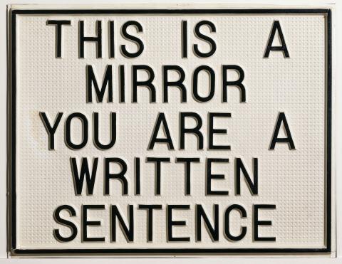 This Is a Mirror. You Are a Written Sentence.
